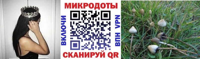 Галлюциногенные грибы Psilocybine cubensis  кракен ТОР  Шатура  как найти наркотики 